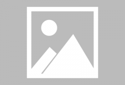 久久免费视频在线观看,久久免费视频在线观看，尽享海量精彩内容