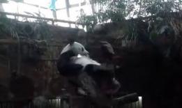 挠帅哥脚心视频,揭秘挠帅哥脚心视频的幕后故事